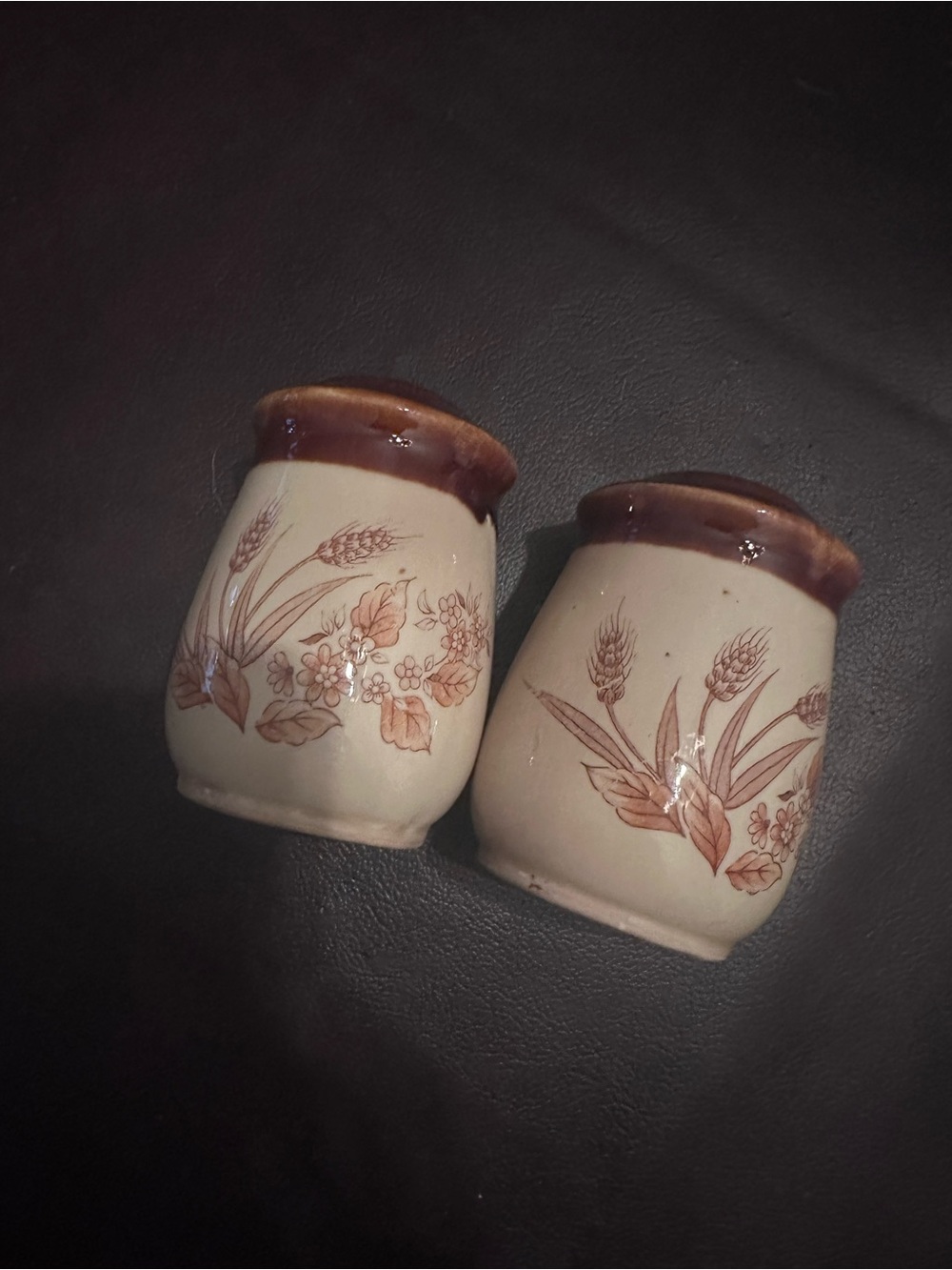 Cream and Brown Wheat Ceramic Salt and Pepper Shakers